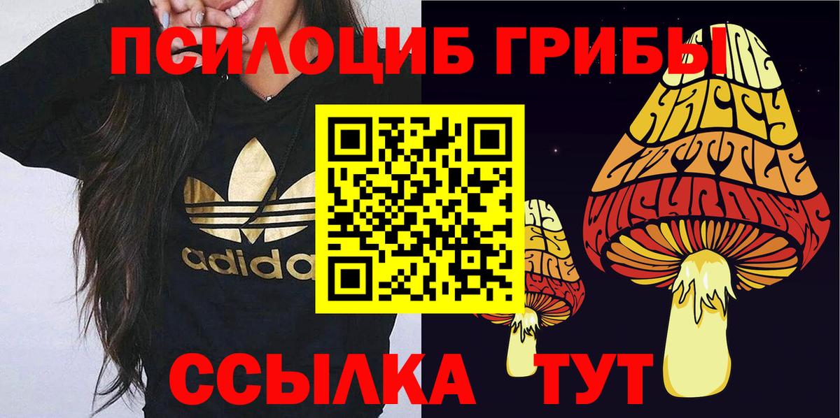 Галлюциногенные грибы GOLDEN TEACHER  Вход с VPN  Галлюциногенные грибы мухоморы  Кызыл 
